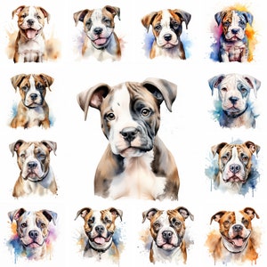 20 immagini PNG clipart acquerello cane Bulldog americano e cucciolo, Bulldog muscoloso, razza Bulldog americano, amanti dei cani, cucciolo di Bulldog carino