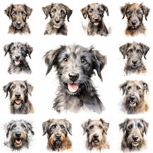 20 Irish Wolfhound Dog and Puppy Watercolor Clipart PNG Images, Wolfhound Puppy, Irish Wolfhound Breed, Cute Puppies, Dog Illustrations