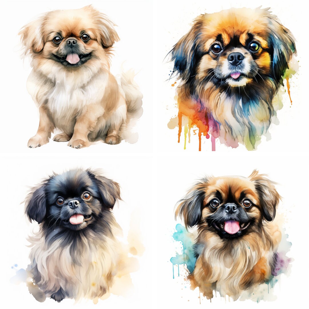20 Pekingese Dog and Puppy Watercolor Clipart PNG Images, Pekingese ...