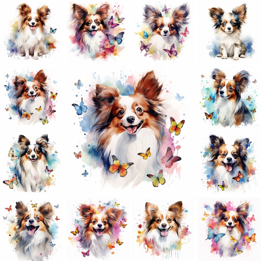 20 Papillon Dog and Puppy Watercolor Clipart PNG Images, Papillon Puppy ...