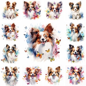 20 Papillon Dog and Puppy Watercolor Clipart PNG Images, Papillon Puppy, Papillon Breed, Cute Puppy, Pet Portrait, Free Commercial Use