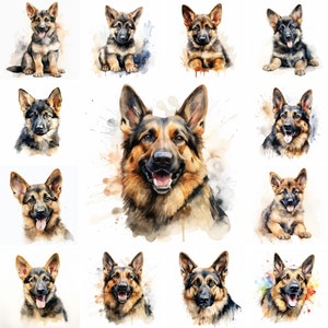 20 Deutscher Schäferhund und Welpe Aquarell Clipart PNG-Bilder, Deutscher Schäferhund Welpe, Deutscher Schäferhund Rasse, Haustier Porträt