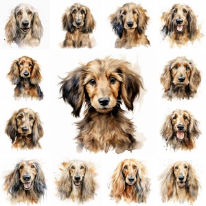 20 Afghan Hound Dog and Puppy Watercolor Clipart PNG Images, Exotic Dog, Afghan Hound Breed, Dog Lovers, Cute Hound Puppy