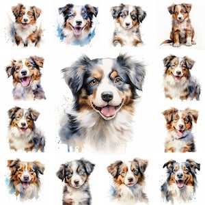 20 Australian Shepherd Dog and Puppy Watercolor Clipart PNG Images, Shepherd Puppy, Australian Shepherd Dog Breed, Cute Puppy, Dog Lovers