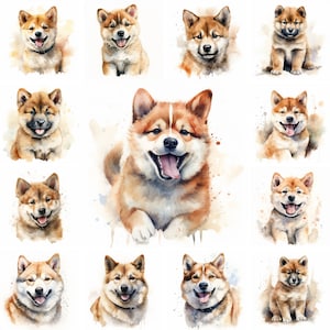 20 Akita Dog and Puppy Watercolor Clipart PNG Images, Exotic Dog, Akita Breed, Dog Lovers, Cute Akita Puppy, Free Commercial Use