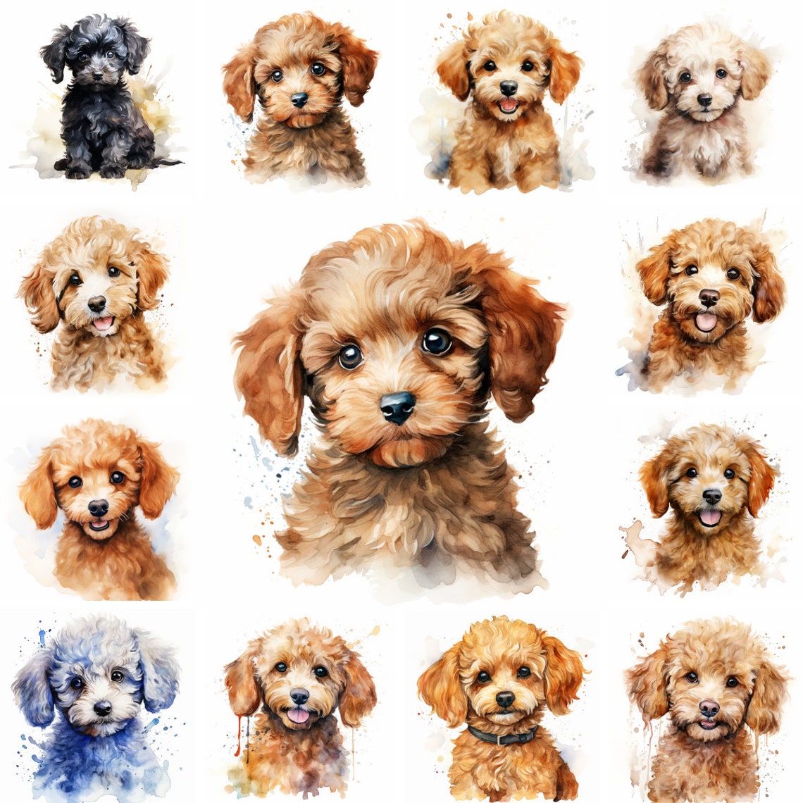 20 Poodle Dog and Puppy Watercolor Clipart PNG Images, Poodle Puppy ...