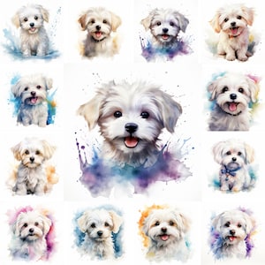 20 Maltese Dog and Puppy Watercolor Clipart PNG Images, Cute Maltese Puppy, Pet Portrait, Cute Puppies, Dog Illustrations, Commercial Use