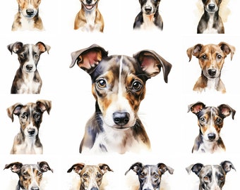 Puede incluir: Una colección de pinturas de acuarela que representan diferentes razas de perros. Cada pintura representa la cabeza y los hombros de un perro, sobre un fondo blanco.