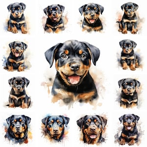 20 Rottweiler Dog and Puppy Watercolor Clipart PNG Images, Rottweiler Puppy, Rottweiler Breed, Cute Puppies, Rottweiler Portrait