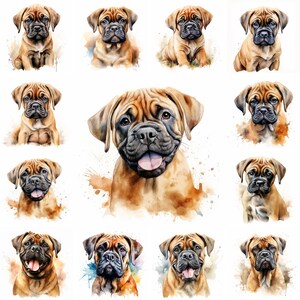 20 Bullmastiff Dog and Puppy Watercolor Clipart PNG Images, Bullmastiff Puppy, Bullmastiff Breed, Cute Puppies, Dog Illustrations Images