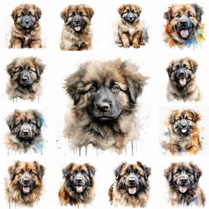 20 imágenes PNG de imágenes prediseñadas de acuarela de perro pastor caucásico y cachorro, cachorro de pastor caucásico, raza de pastor caucásico, amantes de los perros