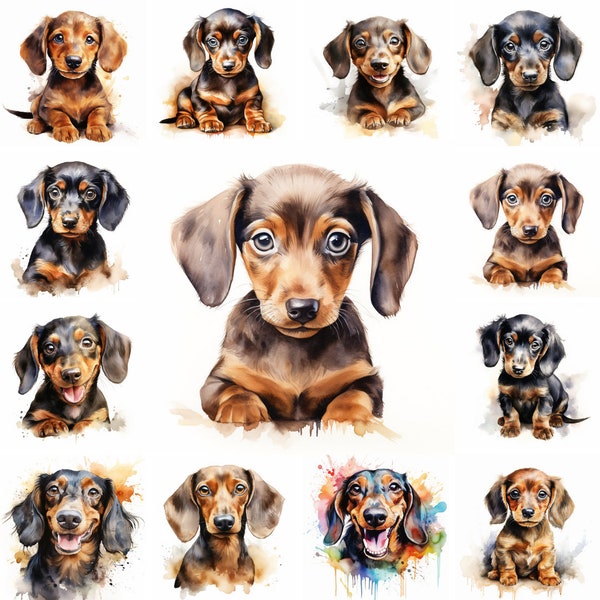 20 Dachshund Dog and Puppy Watercolor Clipart PNG Images, Dachshund puppy, Dachshund Breed, Cute puppies, Dog Lovers, Commercial Use