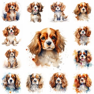 20 Cavalier King Charles Spaniel Dog and Puppy Watercolor Clipart PNG Images, King Charles puppy, Cavalier King Charles Spaniel Breed