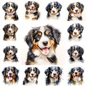 20 Bernese Mountain Dog and Puppy Watercolor Clipart PNG Images, Bernese Mountain Dog Puppy, Bernese Mountain Dog Breed, Cute Puppy