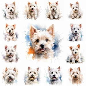 20 West Highland White Terrier Dog and Puppy Watercolor Clipart PNG Images, West Highland White Terrier puppy, Pet Portrait Highland Terrier