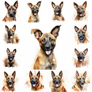 20 belgischer Malinois Hund und Welpe Aquarell Clipart PNG-Bilder, belgischer Malinois-Welpe, belgische Malinois-Rasse, niedlicher Welpe, kommerzielle Nutzung