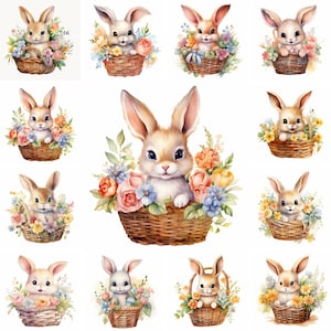 20 Immagini PNG di Clipart di Pasqua dell'acquerello del cestino del coniglietto del bambino, PNG del coniglietto di Pasqua, Clipart del coniglietto del bambino, Animale di Pasqua, Uova di Pasqua, Fiori di Pasqua