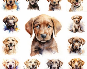 20 Labrador Retriever Perro y Cachorro Acuarela Clipart PNG Imágenes, Cachorro Retriever, Retrato de mascota, Cachorros lindos, Ilustraciones de perros