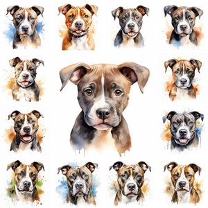 20 American Staffordshire Terrier Hund und Welpe Aquarell Clipart PNG-Bilder, Stafford Welpe, Staffordshire Rasse, niedlicher Staffordshire-Welpe