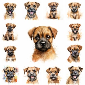 20 Border Terrier Dog and Puppy Watercolor Clipart PNG Images, Border Terrier Puppy, Border Terrier Breed, Cute Puppy, Free Commercial Use