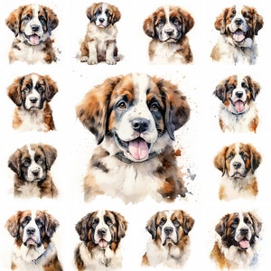 20 Saint Bernard Dog and Puppy Watercolor Clipart PNG Images, Saint Bernard Puppy, Saint Bernard Breed, Cute Puppies, Saint Bernard Portrait