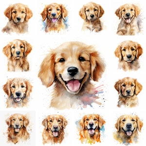 20 Golden Retriever Dog and Puppy Watercolor Clipart PNG Images, Golden Retriever puppy, Golden Retriever Breed, Pet Portrait