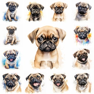 20 imágenes PNG de imágenes prediseñadas de acuarela de perro Pug y cachorro, cachorro Pug, raza Pug, cachorro lindo, retrato de mascota, uso comercial gratuito