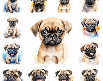 20 Pug Dog and Puppy Watercolor Clipart PNG Images, Pug Puppy, Pug Breed, Cute Puppy, Pet Portrait, Free Commercial Use