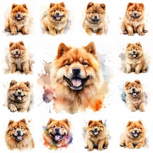 20 Chow Chow Dog and Puppy Watercolor Clipart PNG Images, Chow Chow Puppy, Chow Chow Breed, Cute Puppies, Chow Chow Pet Portrait