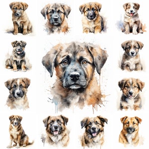 20 Central Asian Shepherd Dog and Puppy Watercolor Clipart PNG Images, Central Asian Shepherd puppy, Asian Shepherd Breed, Cute puppies