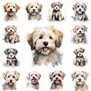 20 Dandie Dinmont Terrier Dog and Puppy Watercolor Clipart PNG Images, Dandie Dinmont puppy, Dandie Dinmont Terrier Breed, Cute puppies