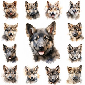20 Czechoslovak Wolfdog and Puppy Watercolor Clipart PNG Images, Czechoslovak puppy, Czechoslovak Wolfdog Breed, Cute puppies, Dog Lovers