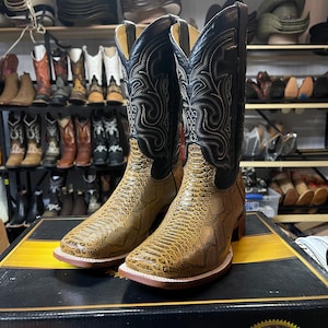 May include: A pair of cowboy boots featuring a snakeskin design on the lower section and black leather uppers with decorative stitching. The boots have square toes and are displayed on a box.