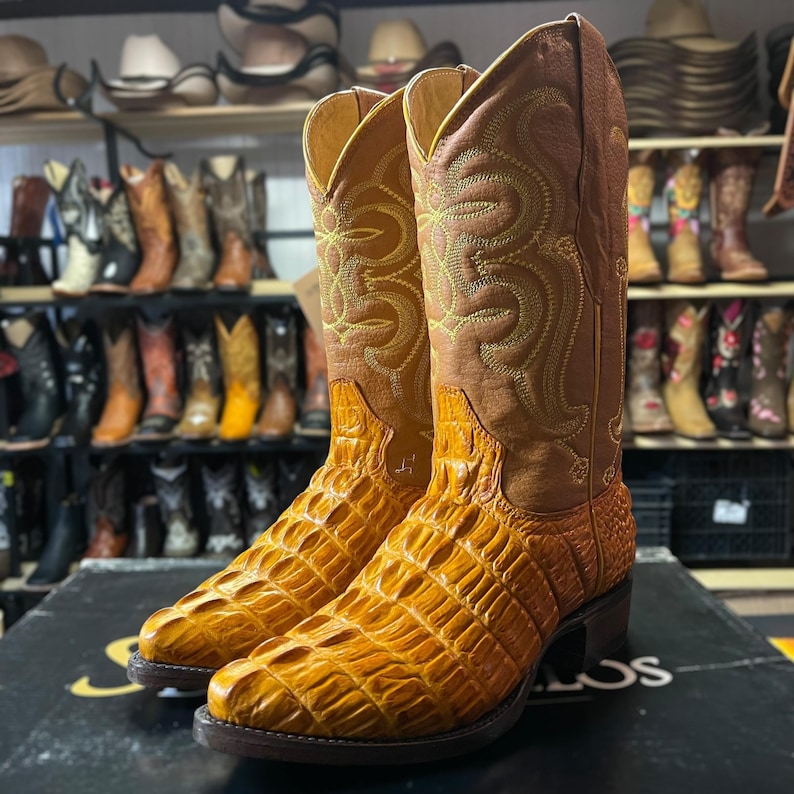 May include: A pair of cowboy boots with a textured, golden-yellow alligator-like pattern on the foot and a brown leather upper with decorative stitching. The boots have a pointed toe and a stacked heel.