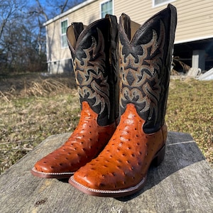 May include: A pair of brown leather cowboy boots with a square toe and decorative stitching. The boots have a black upper with intricate embroidery and a textured, dotted pattern on the lower portion.