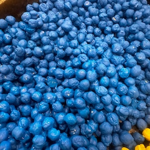 Colored Peas for sensory bins-Sensory Bin fillers-Messy Play-Sensory Bin-Colored Sensory Bin Filler