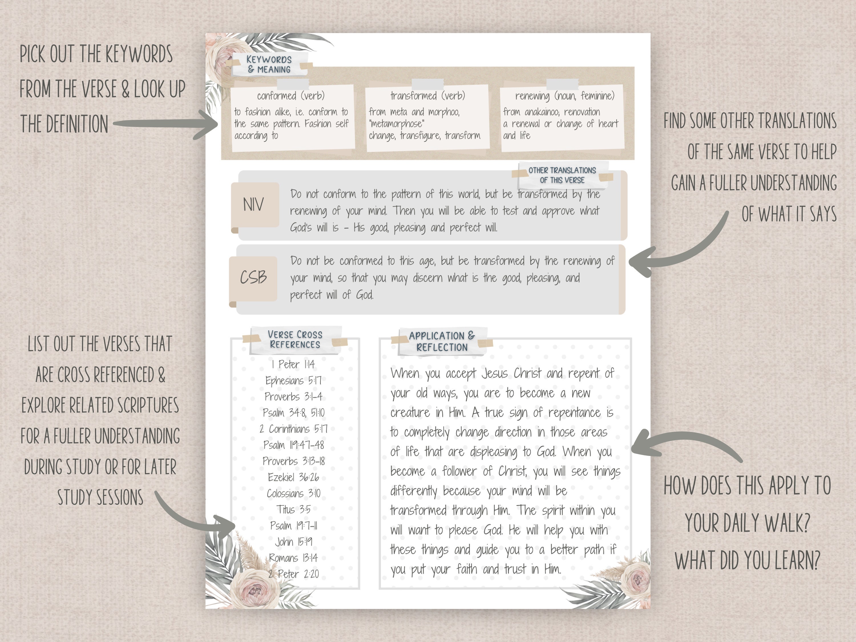 BIBLE EXPLAINED VERSE BY VERSE PDF visual data 6