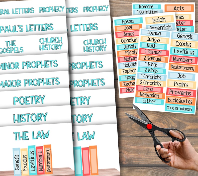 Books of the Bible Game Kids Memory Sorting Activity | Printable Church Learning | Sunday School Lesson | Youth Ministry | Homeschool Work image 5