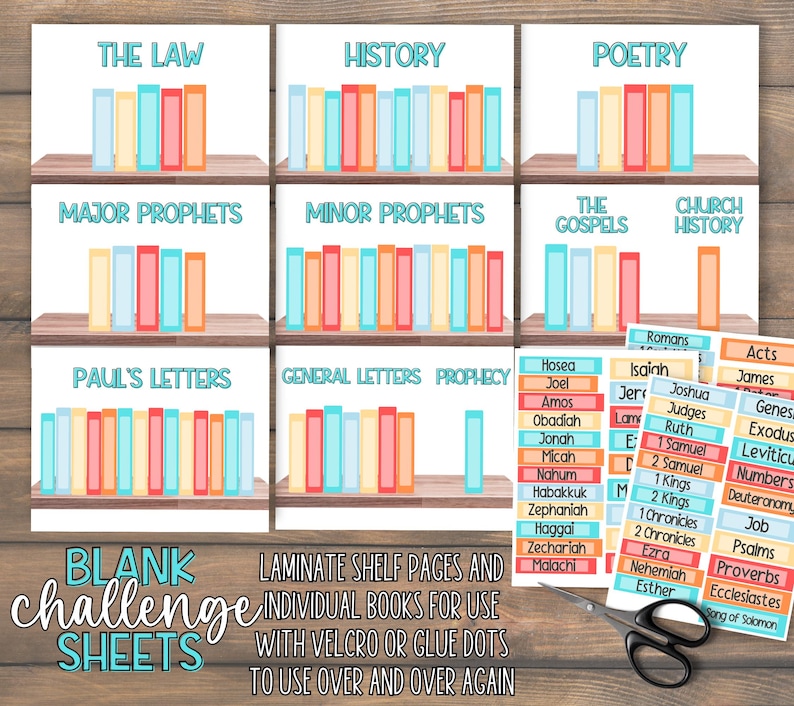 Books of the Bible Game Kids Memory Sorting Activity | Printable Church Learning | Sunday School Lesson | Youth Ministry | Homeschool Work image 7