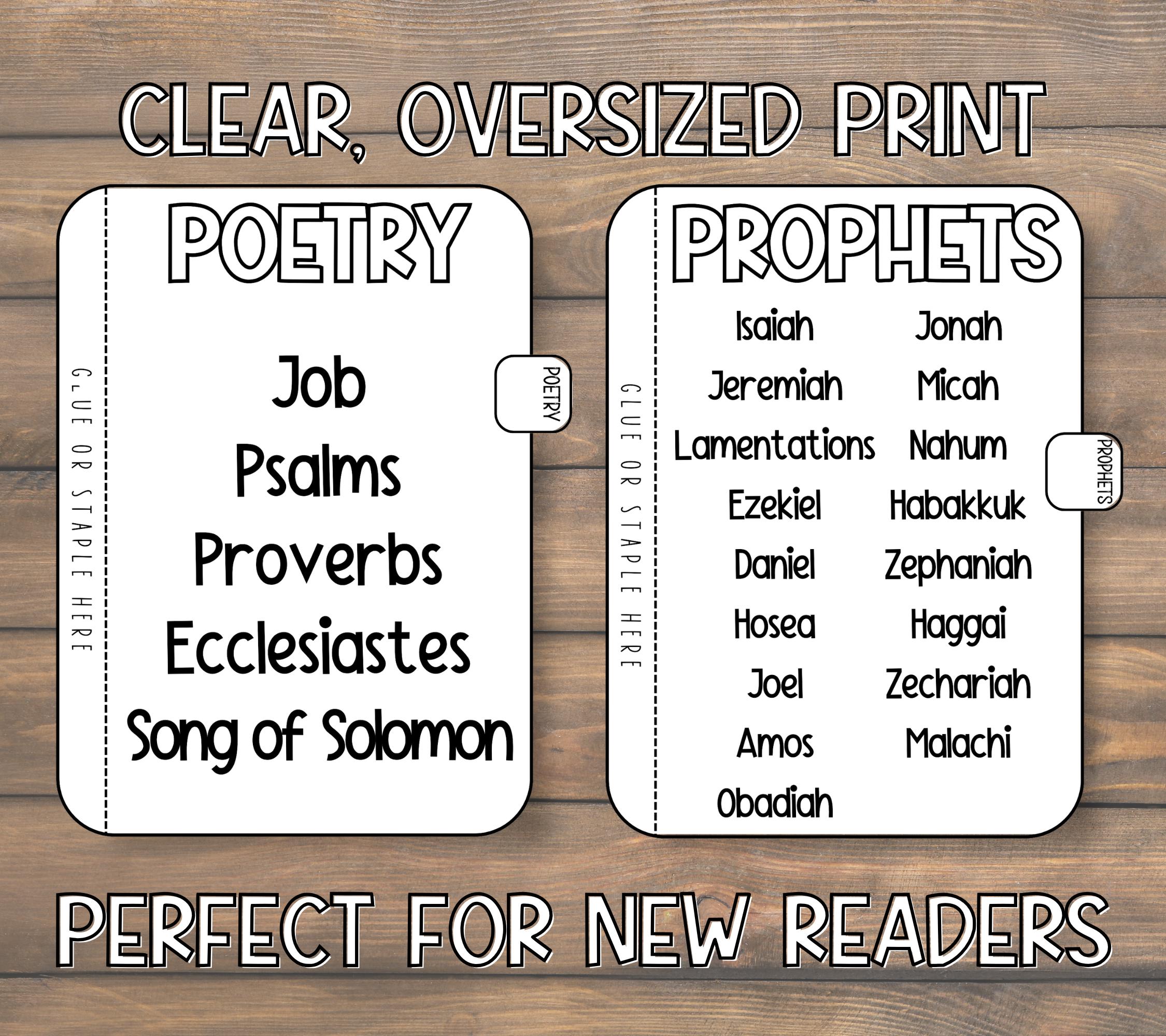 Books of the Bible Printable Coloring Memory Flipbook | Sunday School ...
