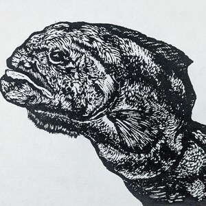 Original Woodcut Print - Wolf Eel