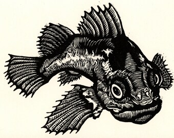 Original Woodcut Print - Oregon Coast Rockfish