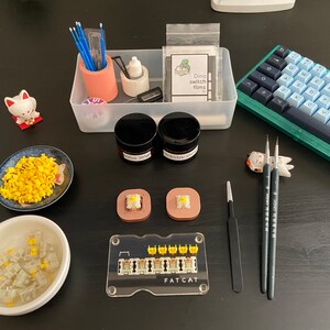 Switch Lubing