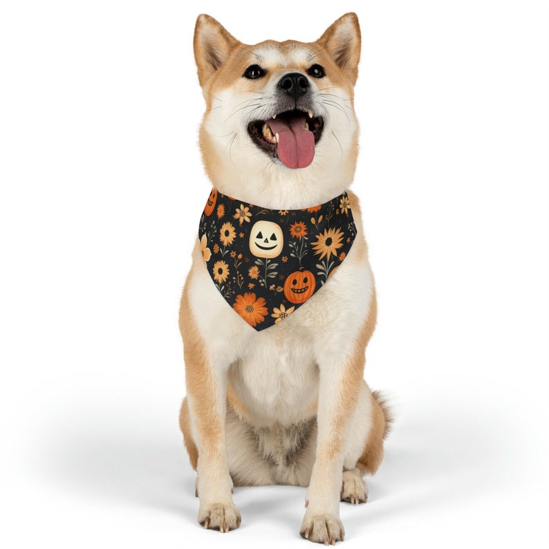 May include: A Shiba Inu dog wearing a black bandana with a Halloween-themed print of orange pumpkins and sunflowers. The bandana has a white background and features a smiling jack-o'-lantern.