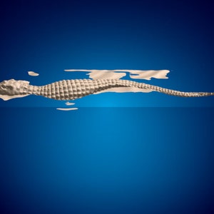 Arquivos de roteador CNC 3D de crocodilo nadador, arquivo stl 3d, vectric, aspire, cavalete, arquivos de corte cnc, arquivos 2.5d