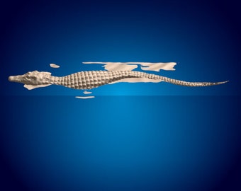 Swimming Crocodile 3D STL File: CNC Router Cut (Digital Download)