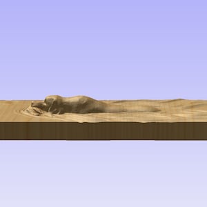 May include: A wooden plaque with a carved image of a dog lying down. The dog is carved in a realistic style and appears to be made of wood.