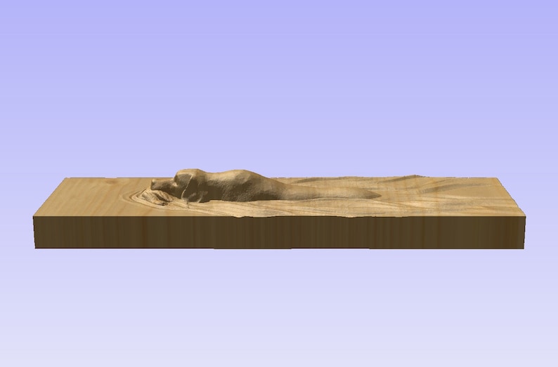 May include: A wooden plaque with a carved image of a dog lying down. The dog is carved in a realistic style and appears to be made of wood.