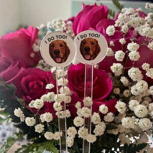 Könnte beinhalten: Zwei durchsichtige Plastikstäbe mit runden weißen Etiketten, auf denen "I do too!" steht und ein brauner Hundekopf abgebildet ist. Die Stäbe befinden sich in einem Strauß rosa Rosen und weißen Babyschnaps.