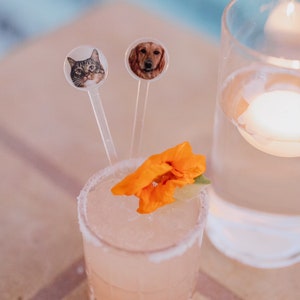 K&ouml;nnte beinhalten: Ein rosa Cocktail mit gesalzenem Rand, garniert mit einer orangefarbenen Bl&uuml;te. Zwei klare Plastikr&uuml;hrst&auml;bchen mit runden Fotoaufs&auml;tzen von einer Katze und einem Hund befinden sich im Getr&auml;nk.
